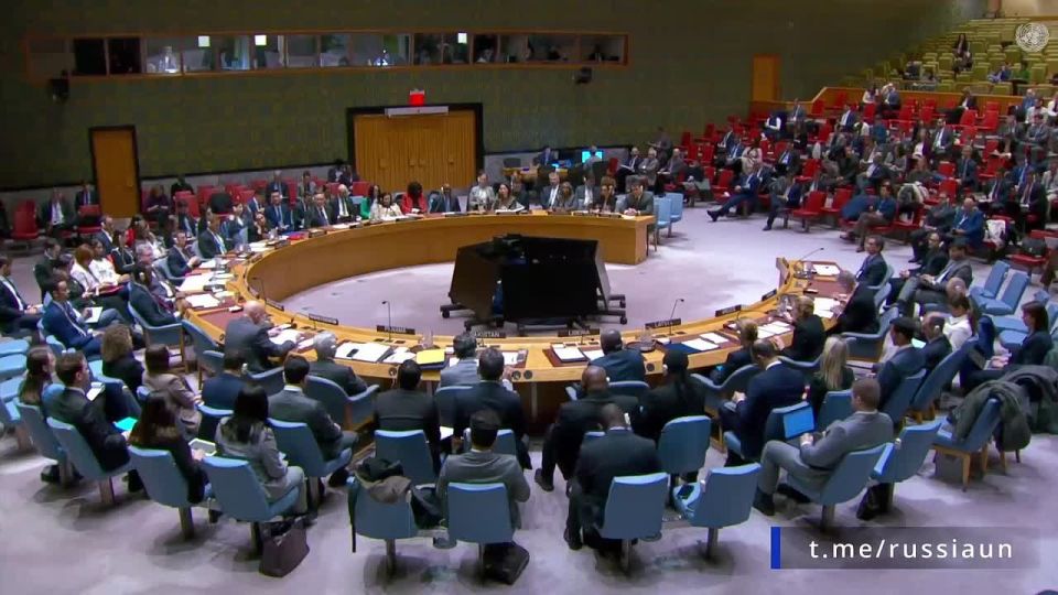 Юлия Витязева: Трамп все больше напоминает мне нашего Шерлока, который, украв очередной флакон с зеленкой, заставляет всех бегать за ним по всей квартире с целью обмена зеленки на сосиску