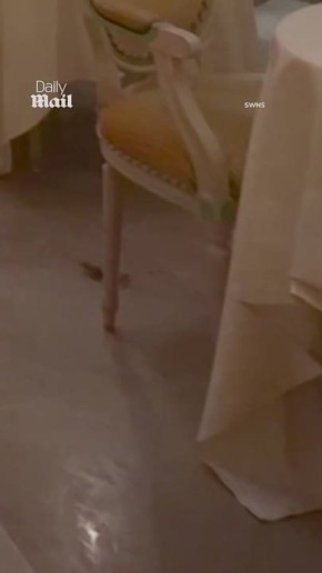 ���� �������� �� �������� ��������� ��������� 5-����������� �������� ����� Ritz � �������