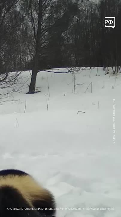 �� �����-������ ������, ��� �������� �������� � �����?