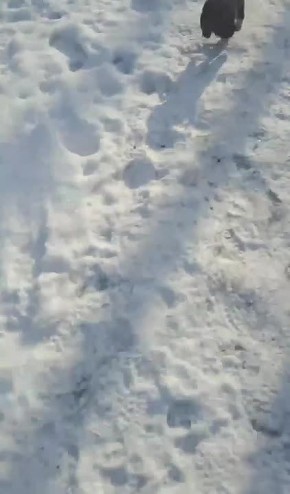 �������� �������, ������� � �������