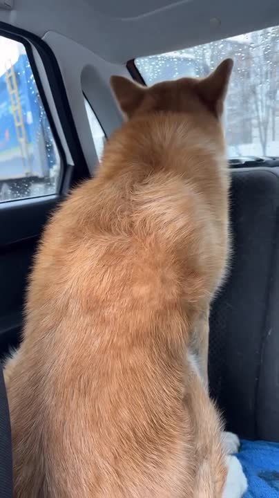 ���� ����: ������. ����� ������� ����, ������� �� ������� ���������� � ��������