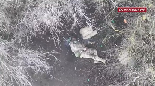 ������ ������� �� 15 ���������� ���������� � ���������� ��������� �� �������� ������ ���� ������ � ���������� �������� ����� ������������ �������� � ����������� �������