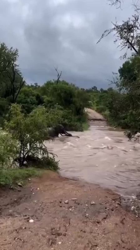 ������� ������ �������� ��� ���������� � ����� ������� � ���