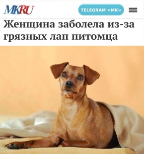 �������� �������� ��-�� ������� ��� �������: ��������� ��������� ������ ����� ��� � ������� - ������� ����� �������� � ������� ���