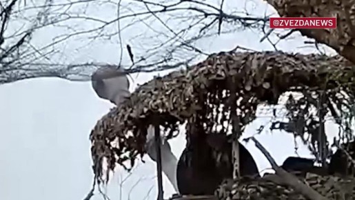 "��������" �� ���� �������� ������ ���������