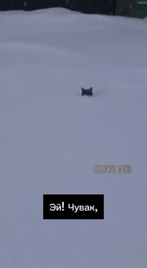 ���! �����, ���� ��� �� ��������? ��? ��-��! ���� ���! �� �����, �� ������� ����, ������! �������! ��, ������� �� ���: