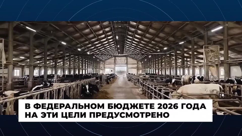 ������ �������������. ������� ������� � ������� ������ � � ���������: