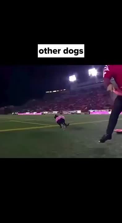 ���� ����: ������ �� ����. ������, ���������, ���� � ���� �� ������ � ������������ ��� ��� ������ � ������ ��� �����