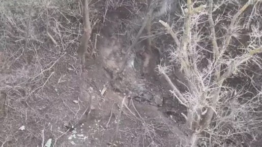 ���������� �� ������ ����������: ��� ����� ��������