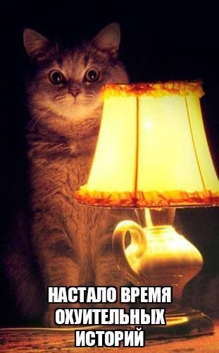 ���� ��������: ���������� ������ �������� ����� � ����� ���, � ����������� ��������� ������, ��� � �� ������� �, � �������� ������ ������������ ���������� ������