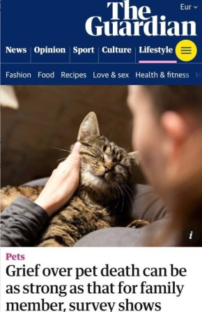 ����� �� ������ ��������� ������� ����� ���� ����� �� �������, ��� �� ������ ����� �����: ������ ��������, ��� ����� � ������ ��� �������� - ������� ������, ��� �������� ��������