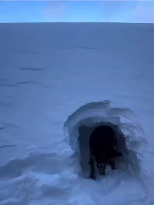 ���� ����: �� �������� ����� ����� � ������ ������������ �����������