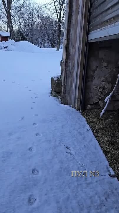 ����� ����� �� �����, � ��� ����� 20: � ���������� ����� ������� ���� ������ �� ������