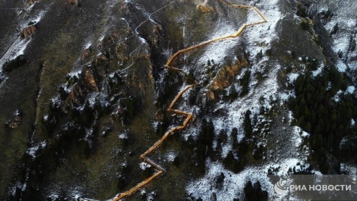 �������� ������������ � 43-��������� ����� � ������� �� ������������ ������