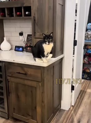 �� ���� ������ ����? ��� ���������? �, ���� ������? ������ ������� ������, ���� ������ ��� ����? �� ��! ������ ��������� ��������!�: