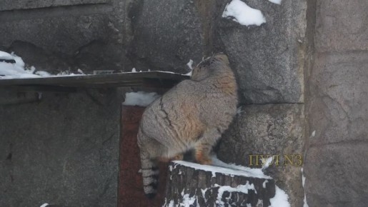 ����� ������� ��������� �� ������� �� ����, �� �����: