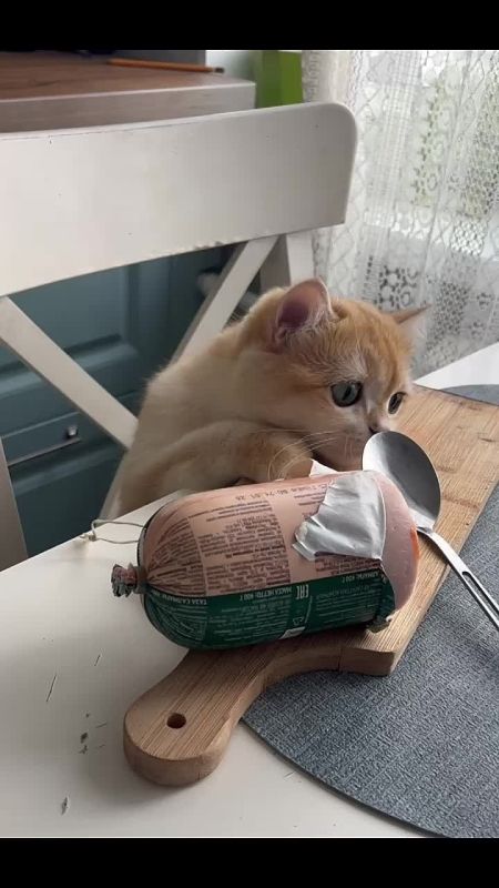 ����. ��������� �� ��������: