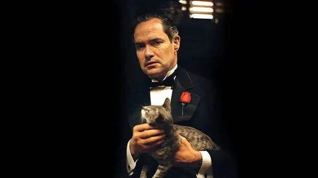 ����� �������� ������������� ��� � ������ ����������, ��� ����� � ������ � ��� �������� ���� ��������