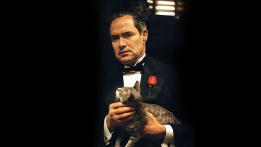 ����� �������� ������������� ��� � ������ ����������, ��� ����� � ������ � ��� �������� ���� ��������