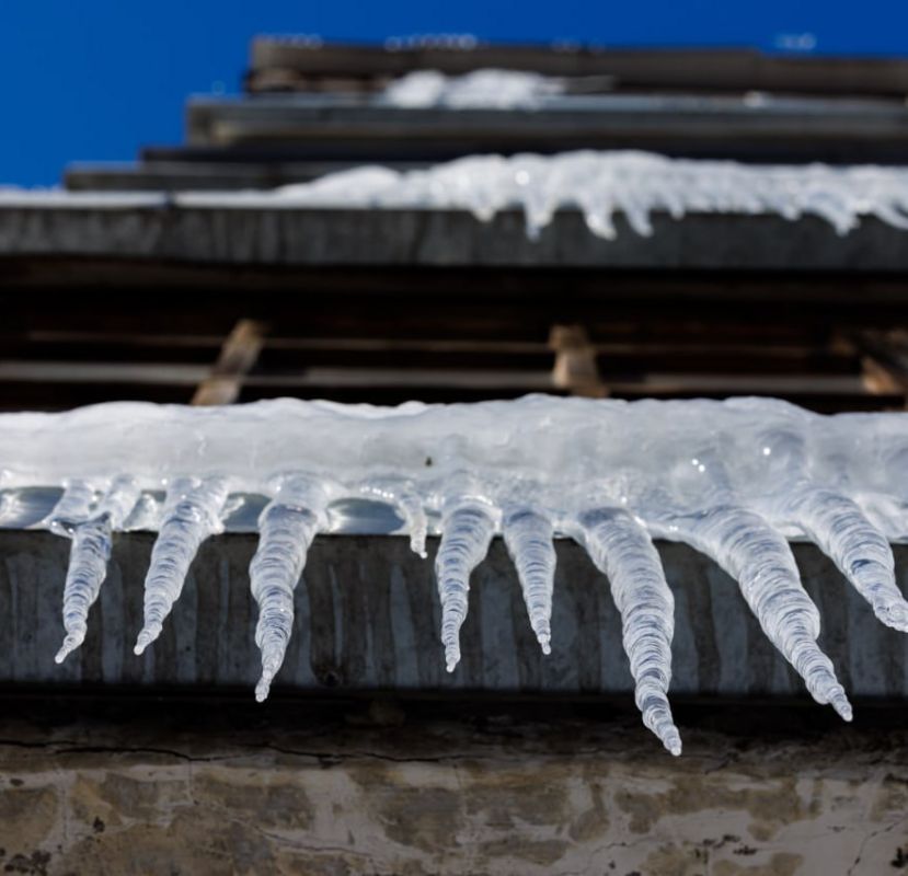 �������, ������� �� ����� ����������: