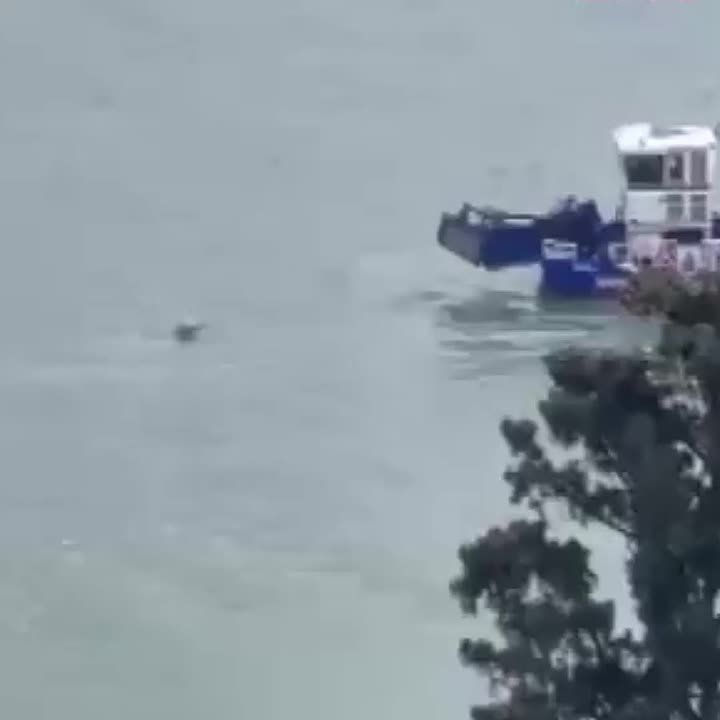 Первые кадры с Босфора, где нашли тело человека в костюме для плавания