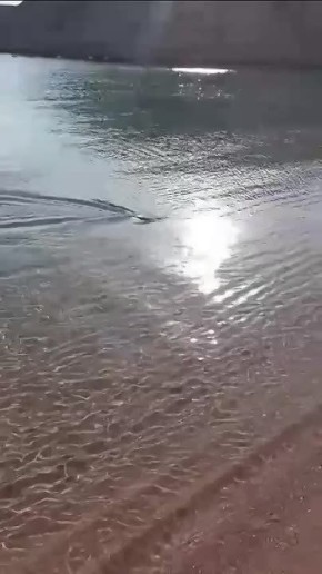 ����������, ���� �����:. ����� � ������� ������� ����� ��������� ����� � ��������� �����