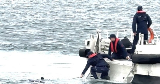 ������ �����, �� ������� ��������� ������� �� ������� ����, ����������������, ����������� ������ ������� ����������