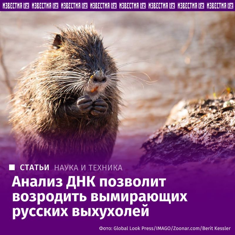 ������ �� ������ � ����������� ������� ��������� ������������������ ����������� ������ ������� ��������