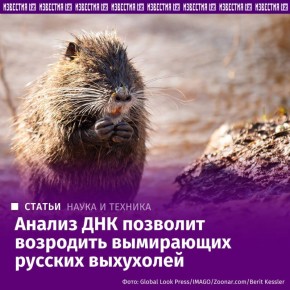 ������ �� ������ � ����������� ������� ��������� ������������������ ����������� ������ ������� ��������