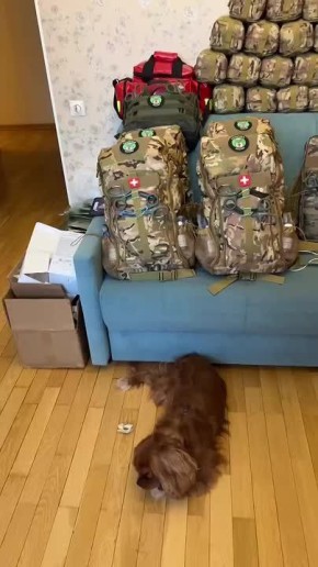 ���� ��������: ������! ���� ��� ������ ������������, ������� � ������� ���������� � ��������� � ��������