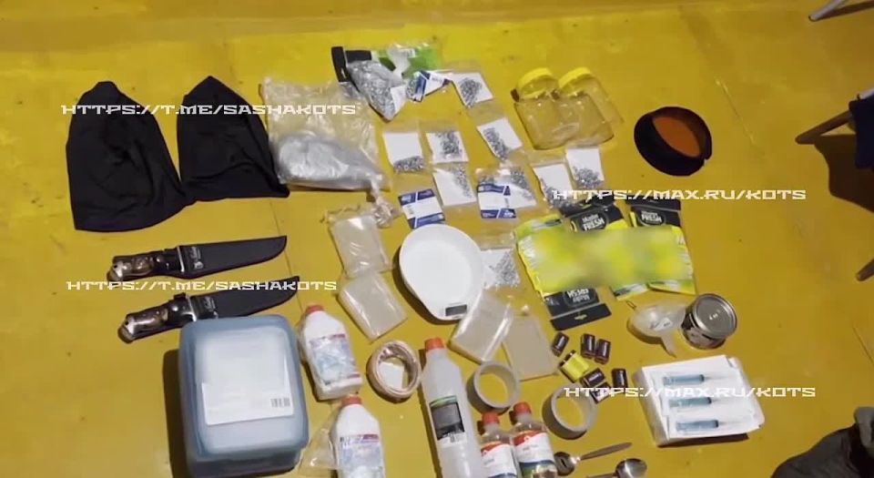 Александр Коц: Чем России грозит поражение курдов в Сирии