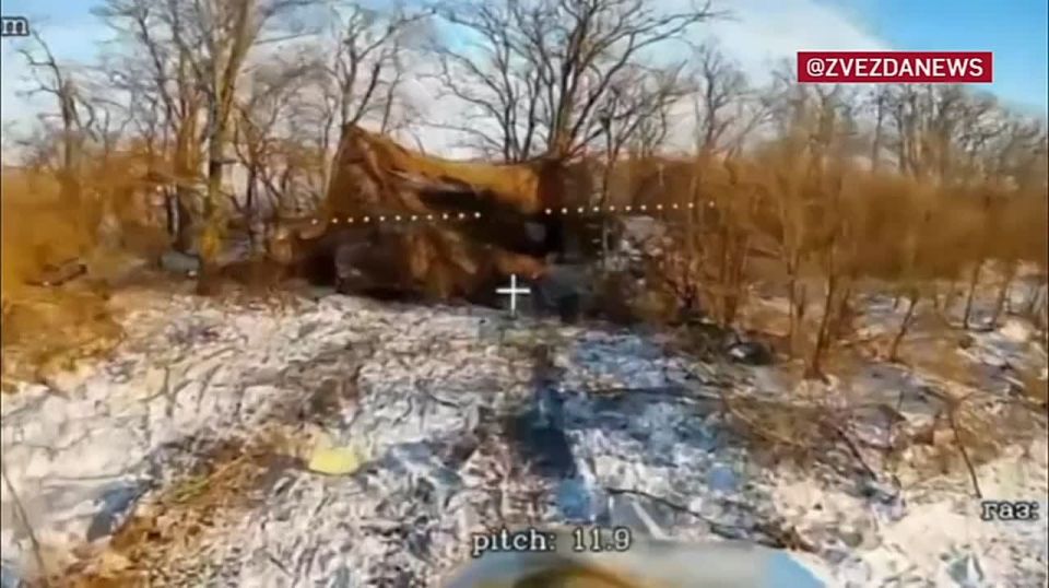 ���������, �����, ����������