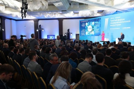 ������ ��� ���������� �������� ������ �� �������� �������� ������� �� XVII ������ ������������� ����� �������������� ������