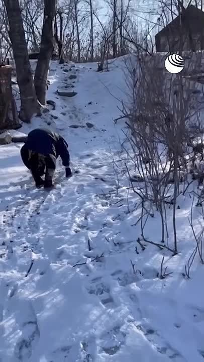 � ������� �������� �������� ��� �����������, ������� ����� � ������� �� ������������