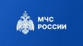 Узнать о плановых проверках органов госпожнадзора МЧС России можно онлайн