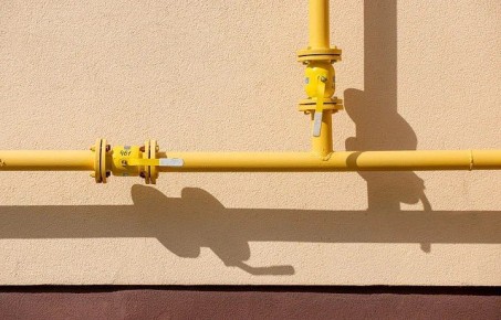 � �������� ������� �� ��� �������������� 49 ��������� �������