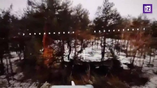 ����� ������������ ��������� � ����������� ������� �������� ���������� ��