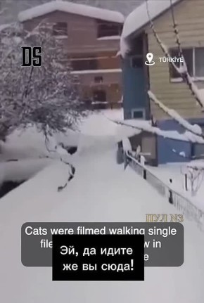 ���, �� ����� �� ����!�:. ������� ����� ����� ������ � ������ � ��� �������� ������ ���������, ������� ������������ ������ � ��������