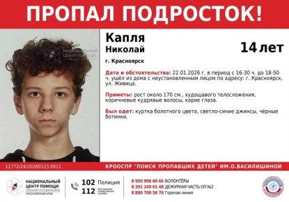 Неизвестный похитил 14-летнего подростка в Красноярске