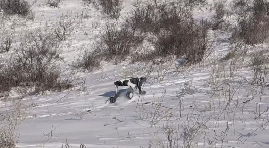 ��� �������� ���������� �� �����, ������� �������� � ����� � 30-��������� �����