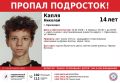 Неизвестный похитил 14-летнего подростка в Красноярске