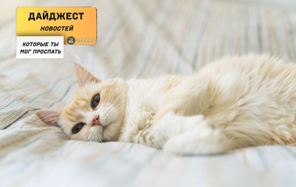 ������������ � ��������, ������� �� ����� ���������� �����