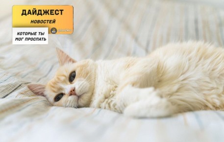 ������������ � ��������, ������� �� ����� ���������� �����