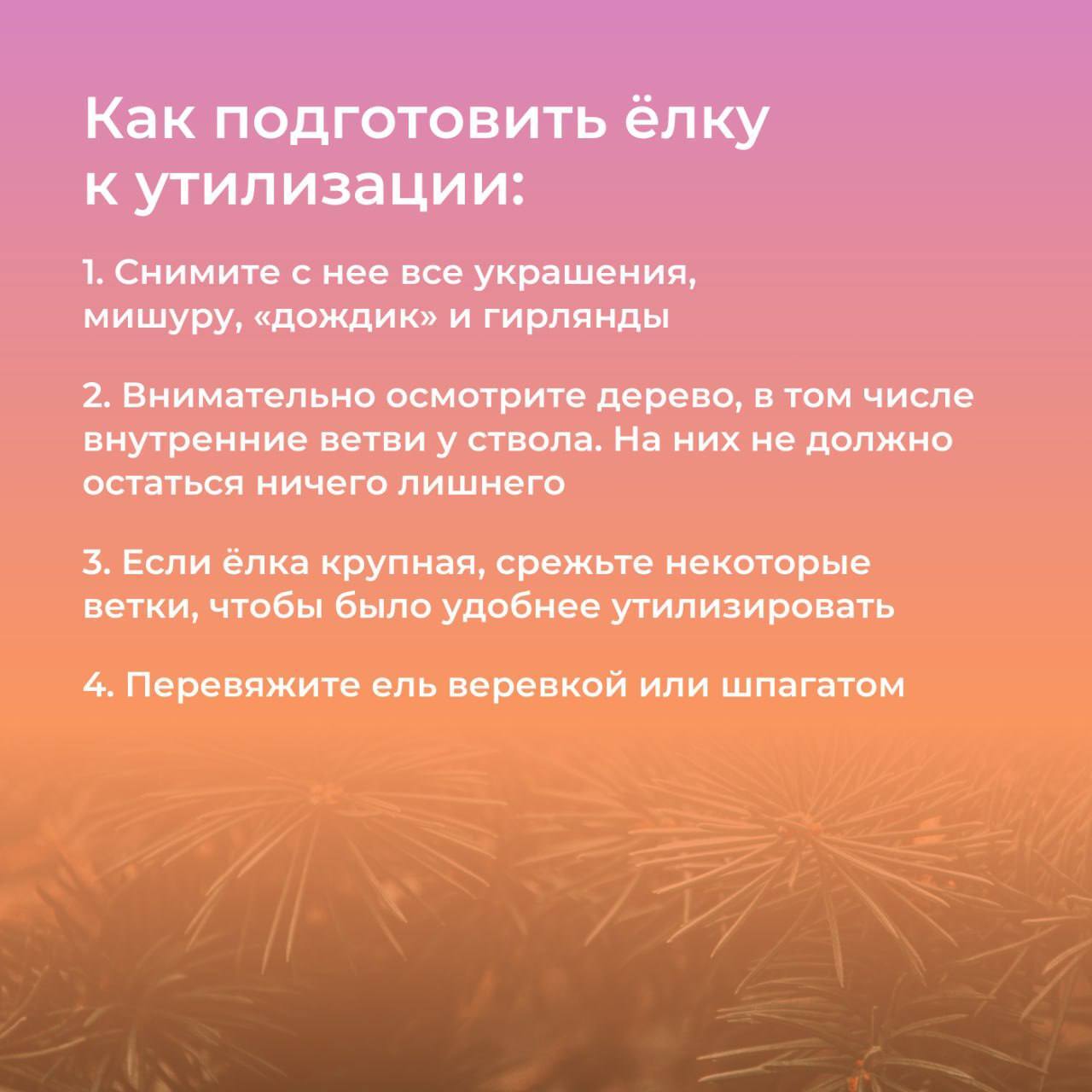 Постпраздничные хлопоты: правила утилизации натуральных новогодних ёлок Постпраздничные хлопоты: правила утилизации натуральных новогодних ёлок