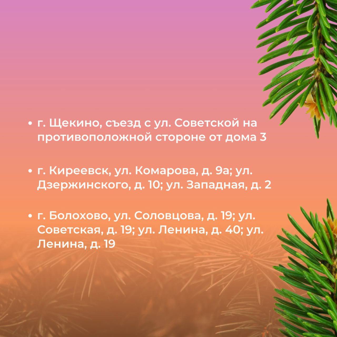 Постпраздничные хлопоты: правила утилизации натуральных новогодних ёлок Постпраздничные хлопоты: правила утилизации натуральных новогодних ёлок