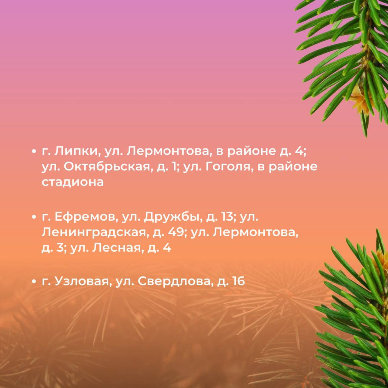 Постпраздничные хлопоты: правила утилизации натуральных новогодних ёлок Постпраздничные хлопоты: правила утилизации натуральных новогодних ёлок