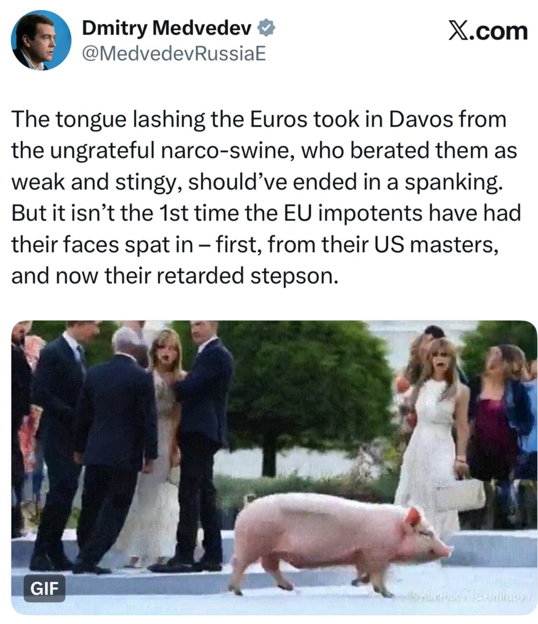 Медведев – о том, что Европа «получает плевки в лицо» от Зеленского: