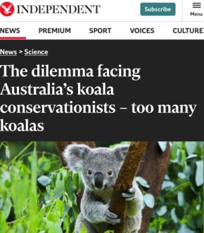 ��������, ������� ����� ��������������