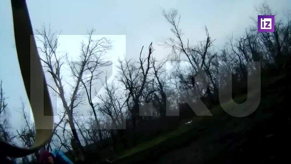 ���������� �����-��������� ��������� ������� ����������� � ������� �������� �� ����� ��������� �� ��������������