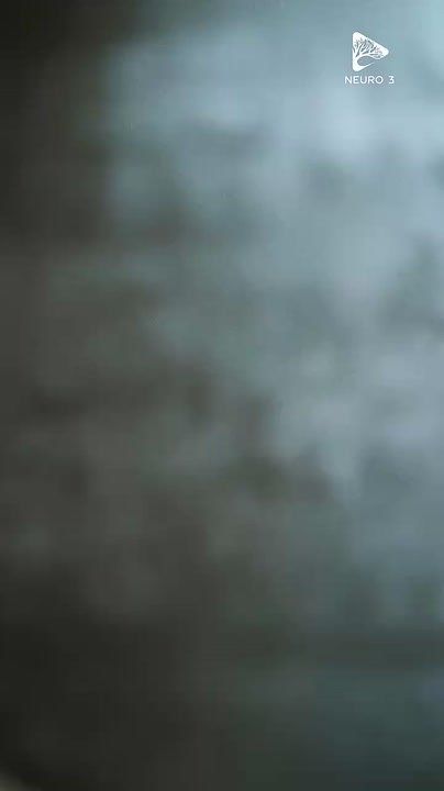 Юлия Витязева: Отвлекитесь на именинника дня